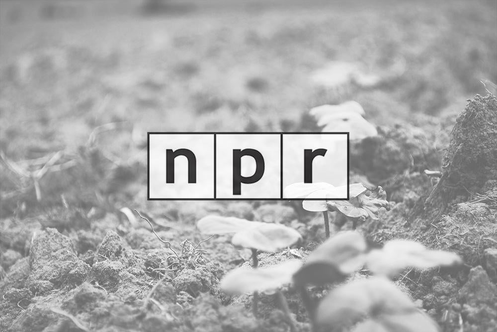 NPR