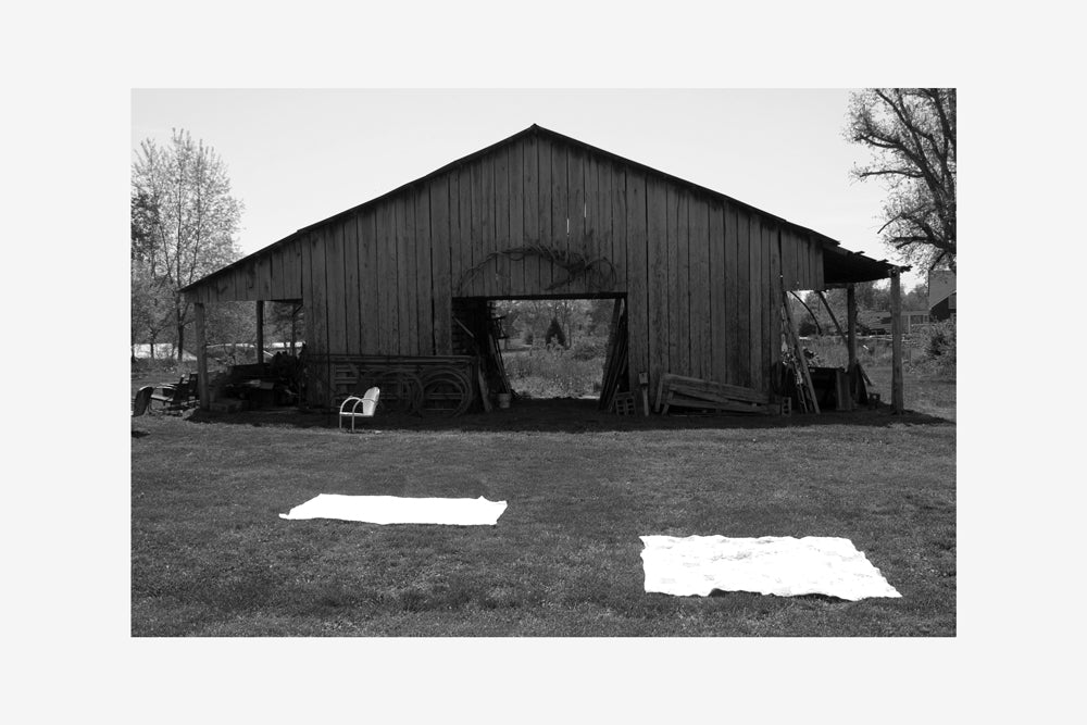 Picnic, 2002