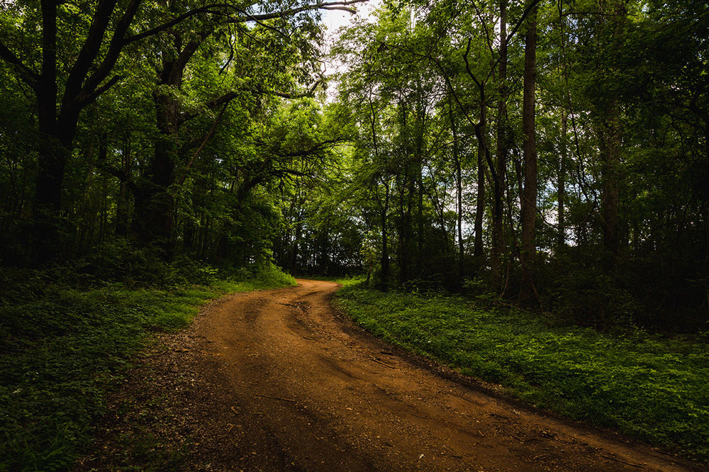 Alabama Chanin - #Travel: Hidden Spaces