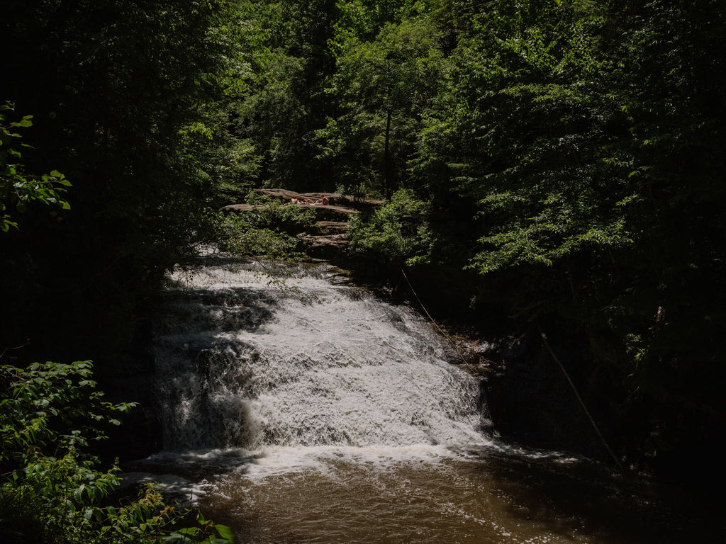 Alabama Chanin - #Travel: Hiking and Bankhead National Forest