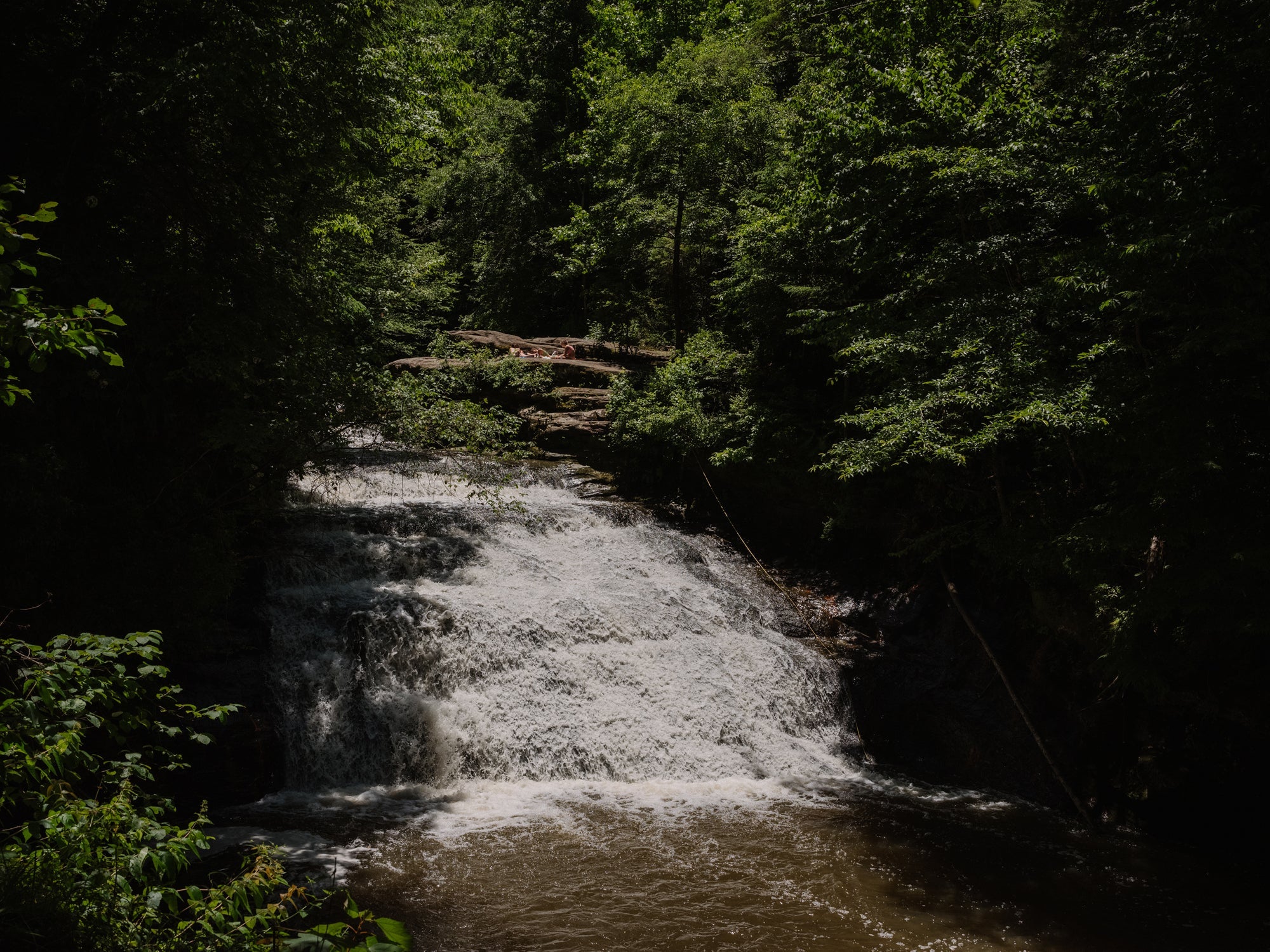 #Travel: Hiking and Bankhead National Forest